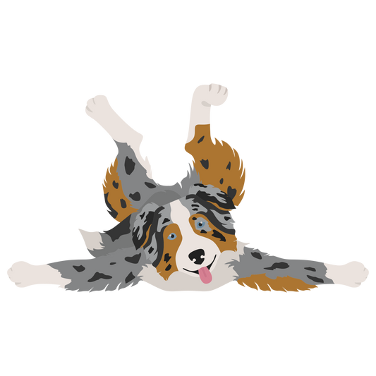 Australian Shepherd Dog Yoga Vinyl Stickers